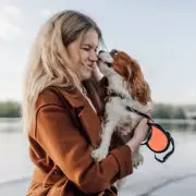 Vet Reveals Five Dog Breeds He Would Never Own Due to Health Concerns