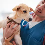 Vet Reveals Hidden Crisis Forcing UK Pet Owners To Abandon Animals