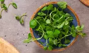 Watercress Crowned World's Healthiest Vegetable: Nutrition Secrets Revealed