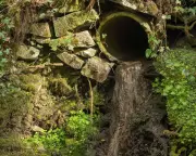 Welsh Water Faces £44.7m Penalty for Sewage Breaches in Carmarthenshire