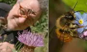 Wildlife Filmmaker's Heartbreaking Dilemma: To Intervene or Observe Nature?