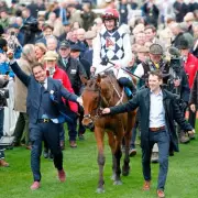 Willie Mullins' Star Jumper Ballyburn Ruled Out for Season and Next Year