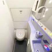 Woman Discovers Secret Sanitary Compartment on Flight, Urges Awareness