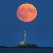 Worm Moon 2026: Exact Viewing Times and Lunar Eclipse Details