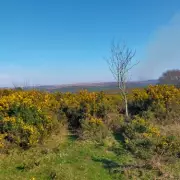 Yelverton: The Bustling Roundabout Village Where Countryside Meets Thriving Shops