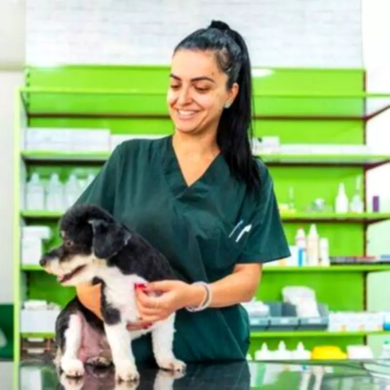 10 Healthiest Dog Breeds with Fewer Health Issues and Lower Vet Bills