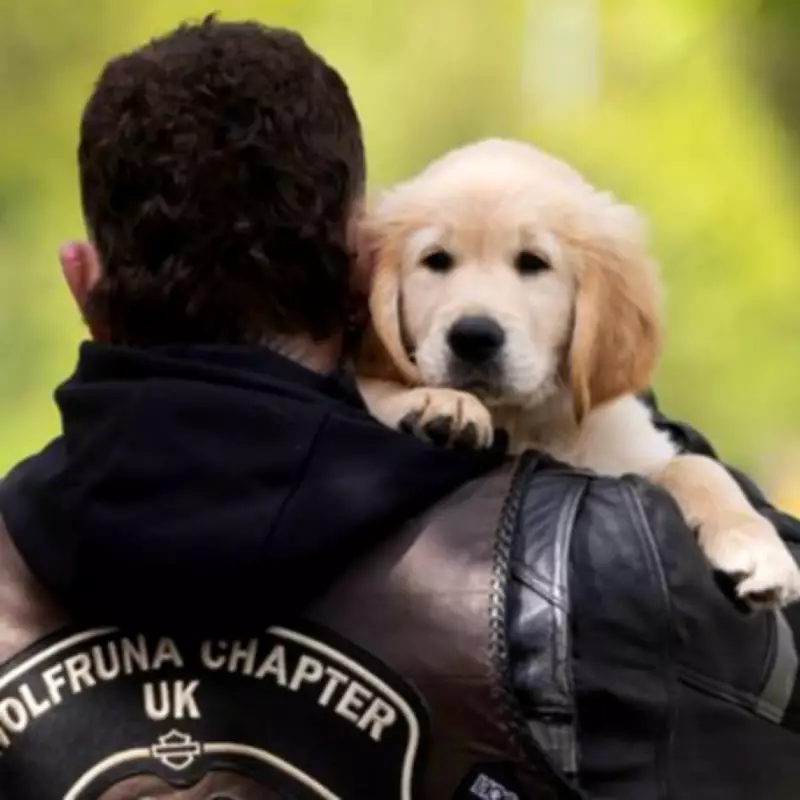 10-Week-Old Guide Dog Pup Meets Bikers to Overcome Motorbike Fear