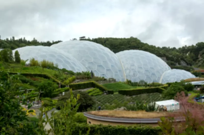 13 Family-Friendly Indoor Activities for a Rainy Easter in Cornwall