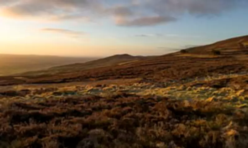 15 Breathtaking Crowd-Free Walking Spots in Wales Revealed