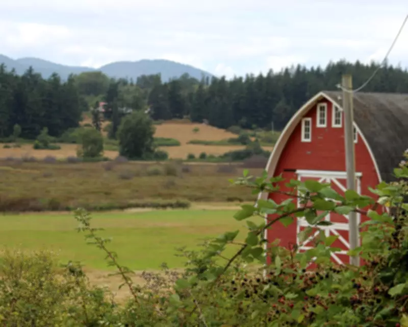 21 Dead Dogs Found on Washington Shore Spark Horror Movie Comparisons