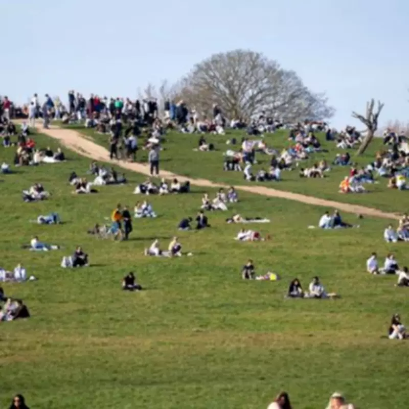 21-Year-Old Man Fatally Stabbed in Primrose Hill Fight, Second Victim Injured
