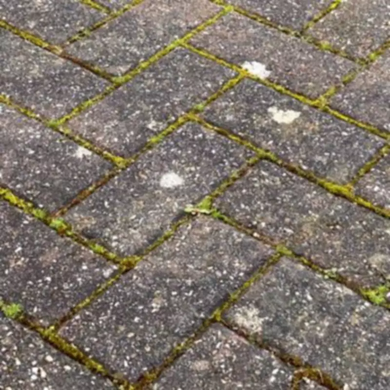 30p Kitchen Ingredient That Banishes Patio Weeds Revealed