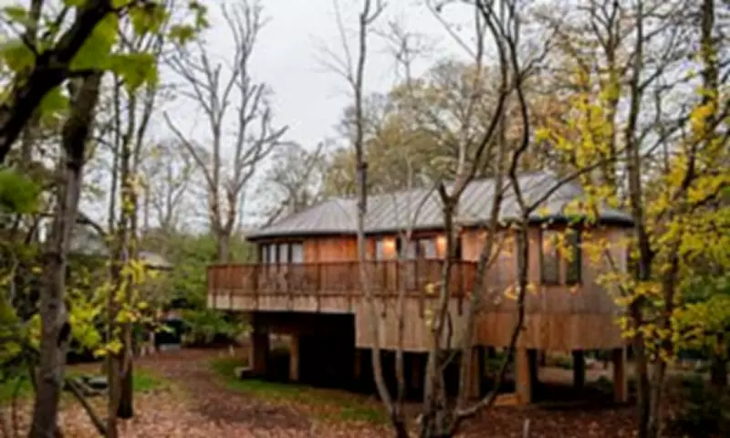 A Fairytale Family Escape: Inside Fairmont Windsor Park's New Treehouse Suites