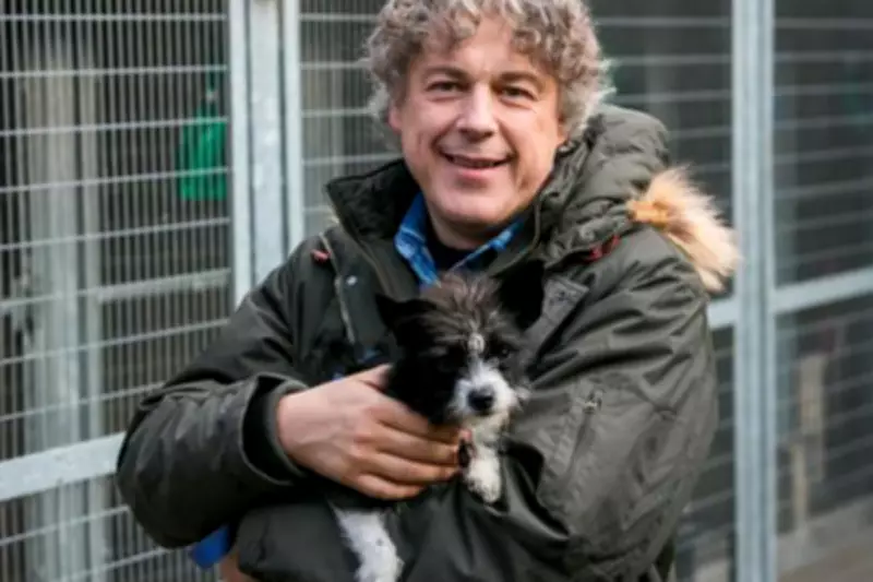 Alan Davies Reveals Key Symptom That Led to Bladder Cancer Diagnosis
