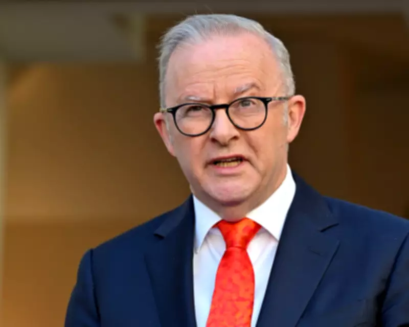 Albanese Urges US and Iran to Reopen Strait of Hormuz Amid Naval Readiness