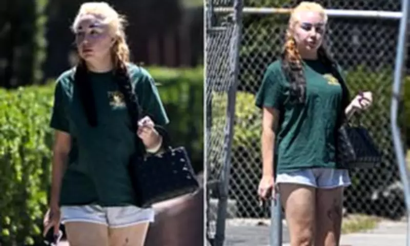 Amanda Bynes Spotted in LA with Blue Eyebrows and Iconic Dior Bag