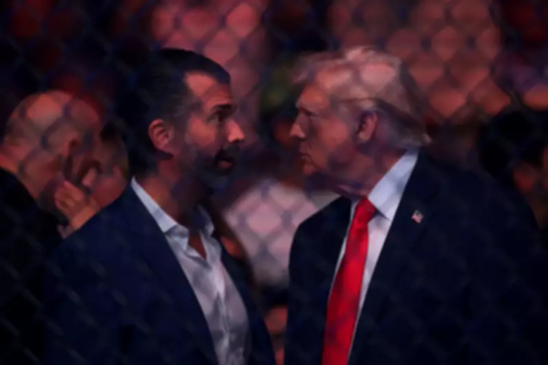 Amazon Eyes Donald Trump Jr for Apprentice Reboot as Host