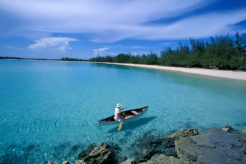 American Woman Missing in Bahamas After Falling Overboard on Boat Trip