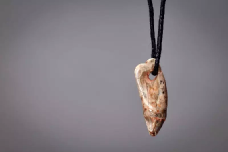 Ancient Seal Tooth Pendant Found in Devon Cave Reveals Stone Age Maritime Culture