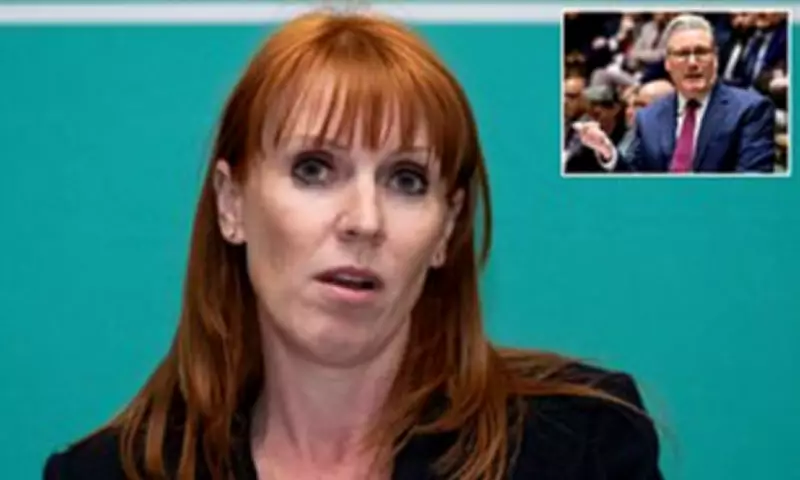 Angela Rayner adds £95,000 in speech fees and donations to war chest