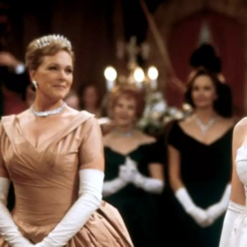 Anne Hathaway Confirms Princess Diaries 3 Progress, Stresses Need for Perfection