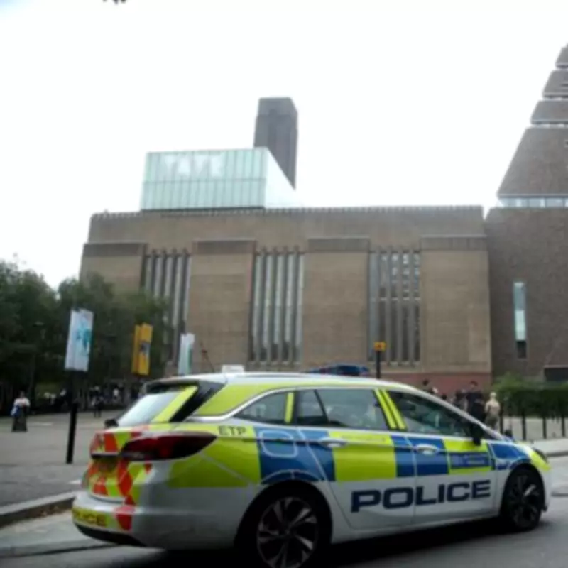 Anonymous Donor Gives £10,500 to French Boy Pushed from Tate Modern