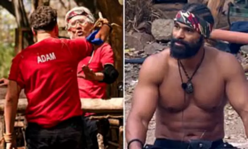 Ant and Dec Confirm All I'm A Celebrity Stars to Attend Live Final After Drama