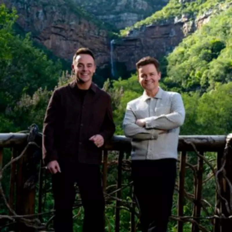 Ant and Dec Criticise David Haye Over I'm A Celebrity 'Bullying' Row