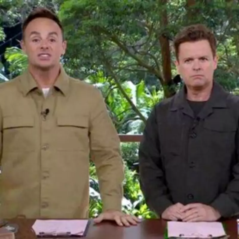 Ant & Dec's South African Lodge Startled by Nocturnal Primate Intruder