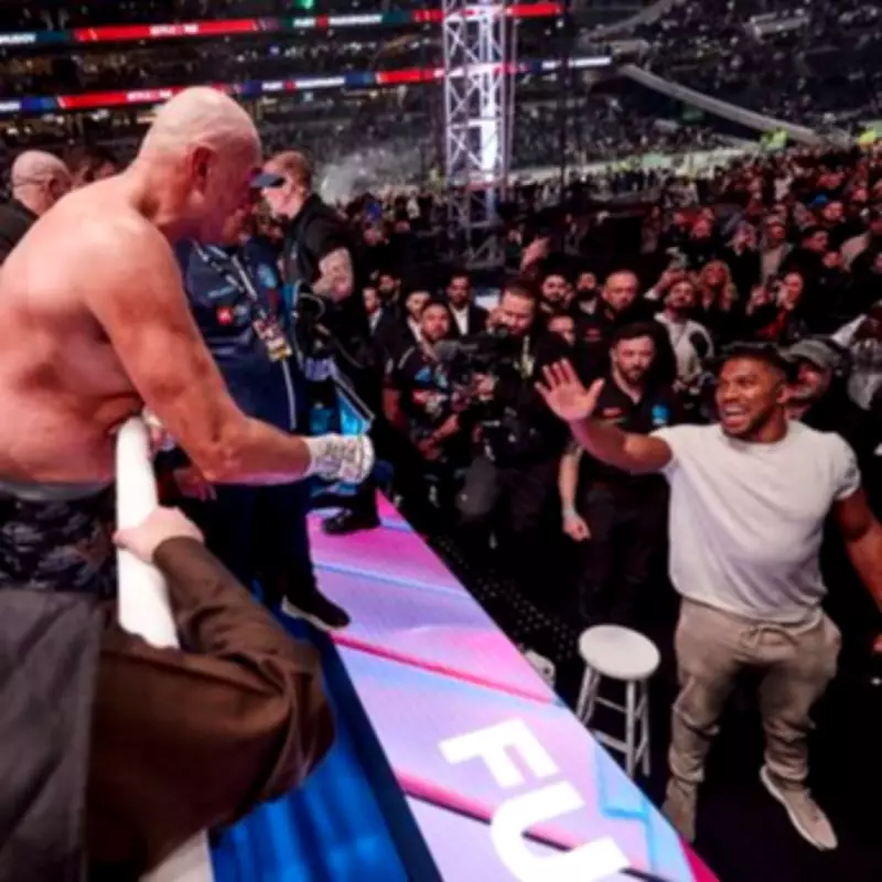 Anthony Joshua vs Tyson Fury Fight Could Be Off Without Dua Lipa Performance