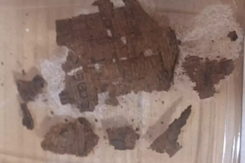 Archaeologists Discover Copy of Homer's Iliad Inside Ancient Egyptian Mummy