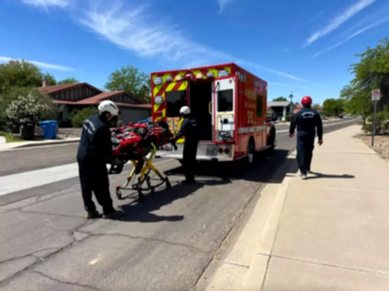 Arizona Hiker Hospitalised After Sustaining Multiple Bee Stings Near Phoenix