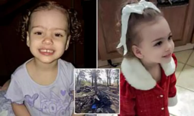 Arkansas Toddler Mauled to Death by Stray Dog Despite Six Adults Present
