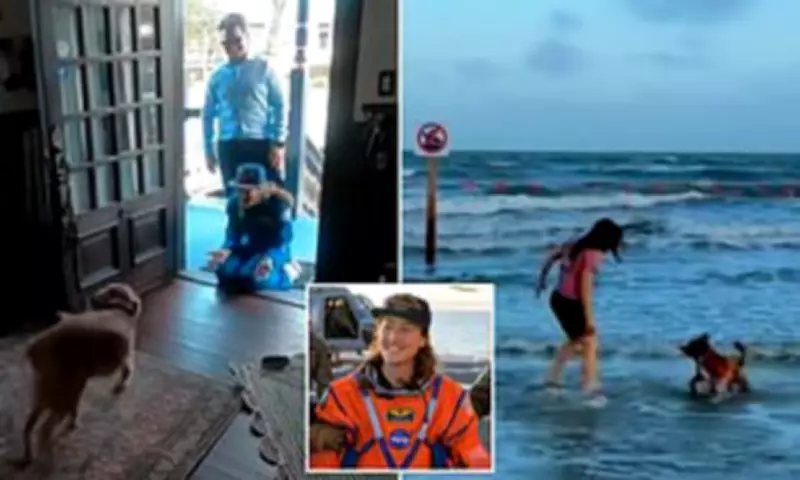 Artemis II Astronaut's Heartwarming Reunion with Dog After Historic Moon Mission