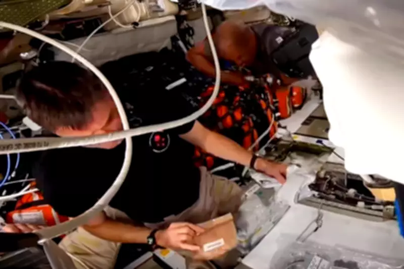 Artemis II Crew's Historic Menu Revealed During Record-Breaking Moon Mission