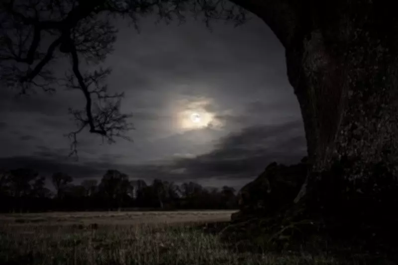 Artemis II Reignites Humanity's Fiery Quest to Unravel Lunar Mysteries