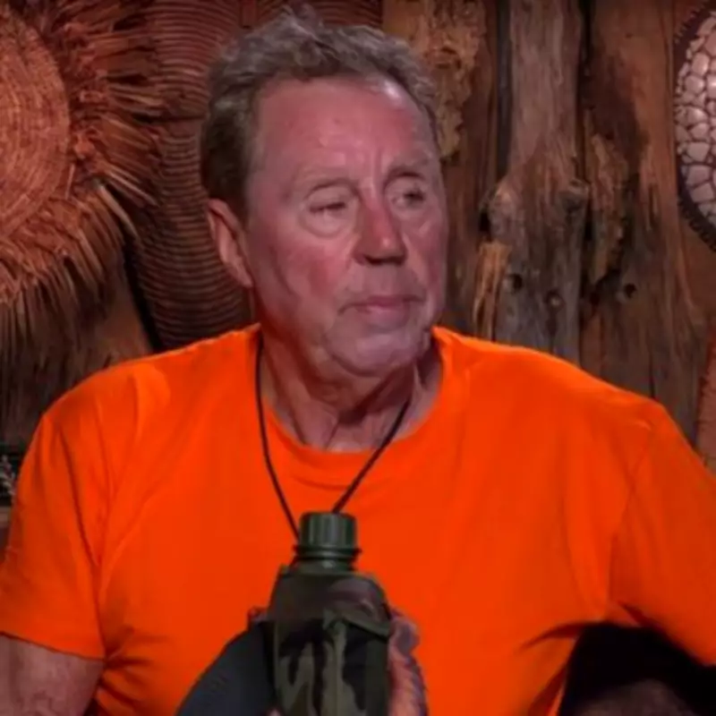 Ashley Roberts Reveals Off-Camera Moment Behind Harry Redknapp's Name Blunder