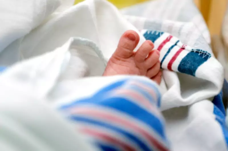 Asian Surnames Lead Growth in US Census, While Top Names Remain Unchanged