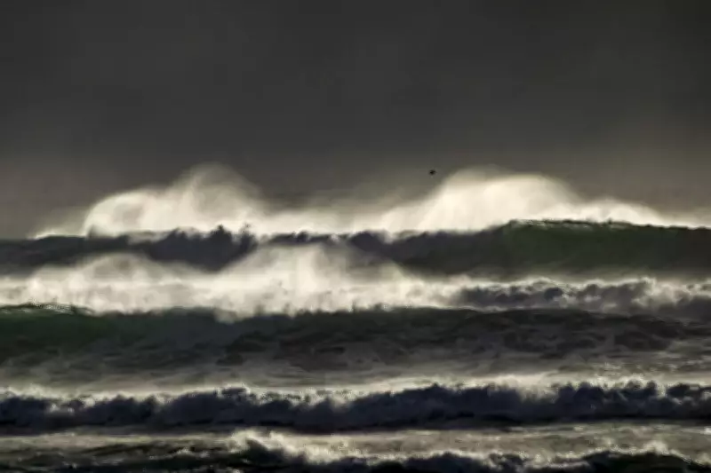 Atlantic Current Collapse Imminent, Catastrophic Climate Shifts Predicted