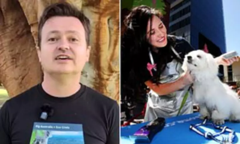 Australian Criticises Skilled Migration List Including Dog Groomers and Lifeguards