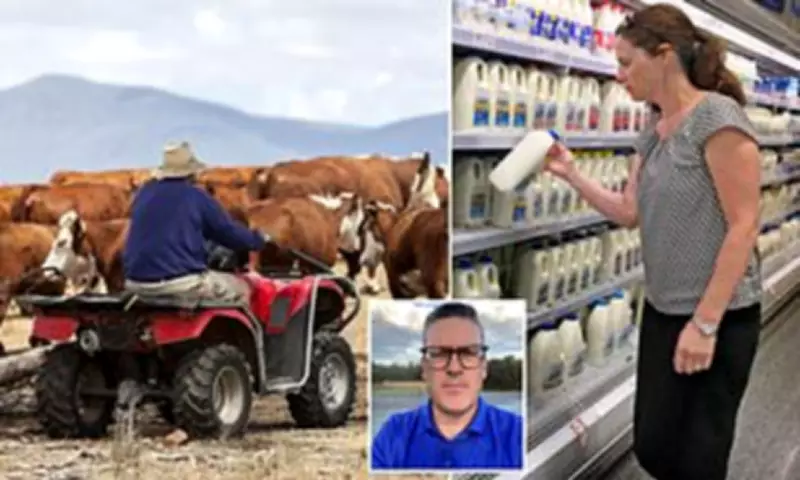 Australian Dairy Crisis: Milk Prices Could Jump 20% Without Immediate Farmer Support