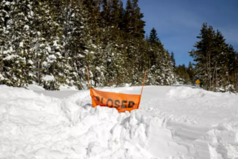 Avalanche Experts Question Guide Decisions in Deadly California Backcountry Tragedy