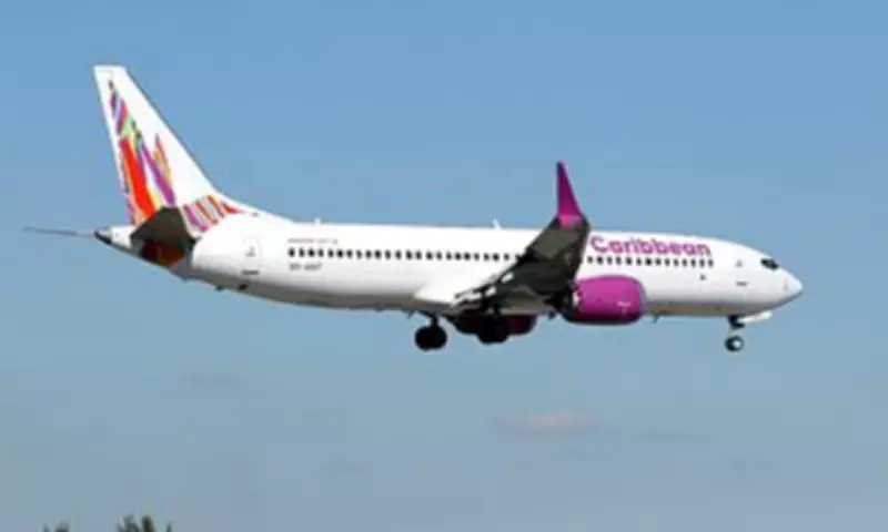 Baby Born Mid-Flight from Jamaica to US Sparks Citizenship Debate