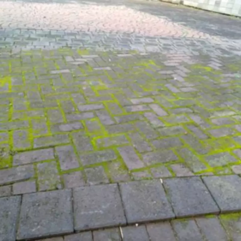 Banish Green Algae from Patios in 5 Minutes Using Two Simple Ingredients