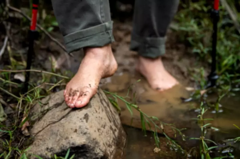 Barefoot Hiking Gains Traction: From Seoul's Clay Trails to Australia's Wild Coasts