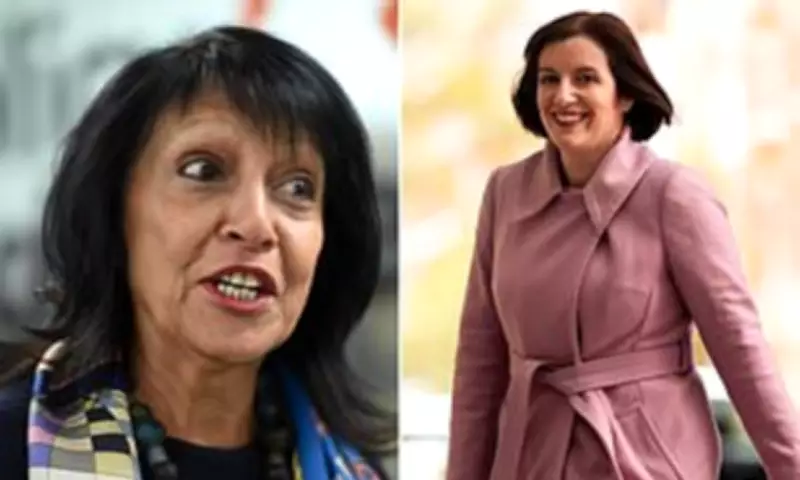 Baroness Falkner Accuses Minister of Delaying Women's Rights Guidance for Career Ambition