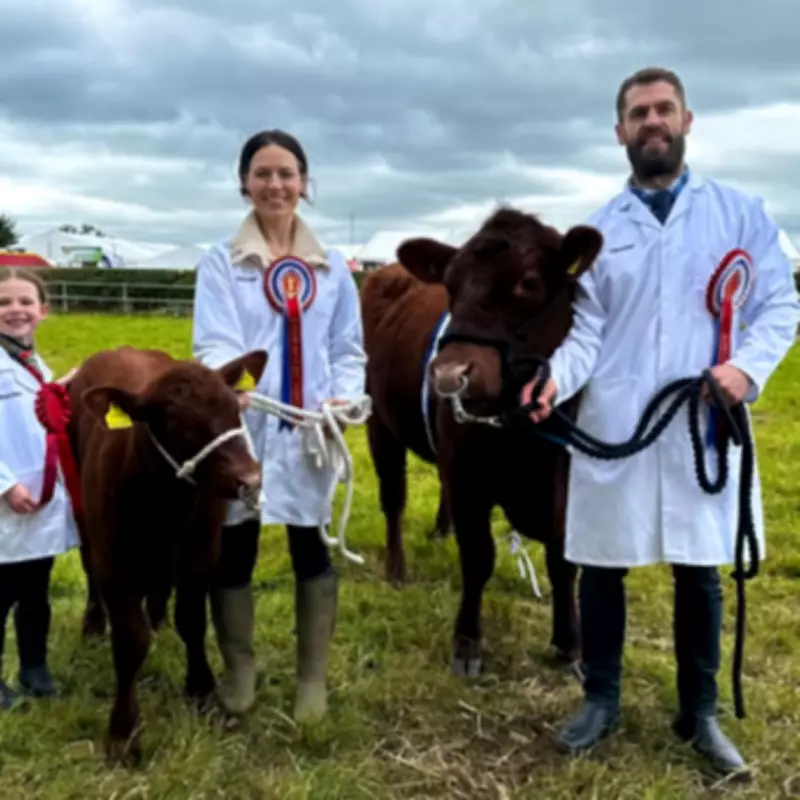 BBC's This Farming Life Fills Void for Fans of Fletcher's Family Farm