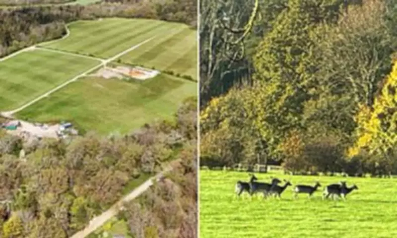 Beaulieu Estate Wins Car Park Approval in New Forest Amid 'Trojan Horse' Fears