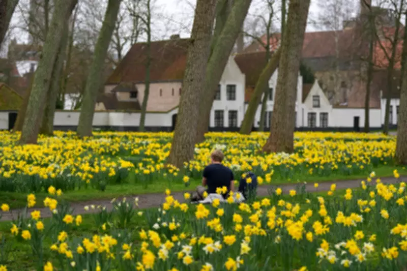 Belgium's Beguinages: Serene Sanctuaries for Women Through Centuries