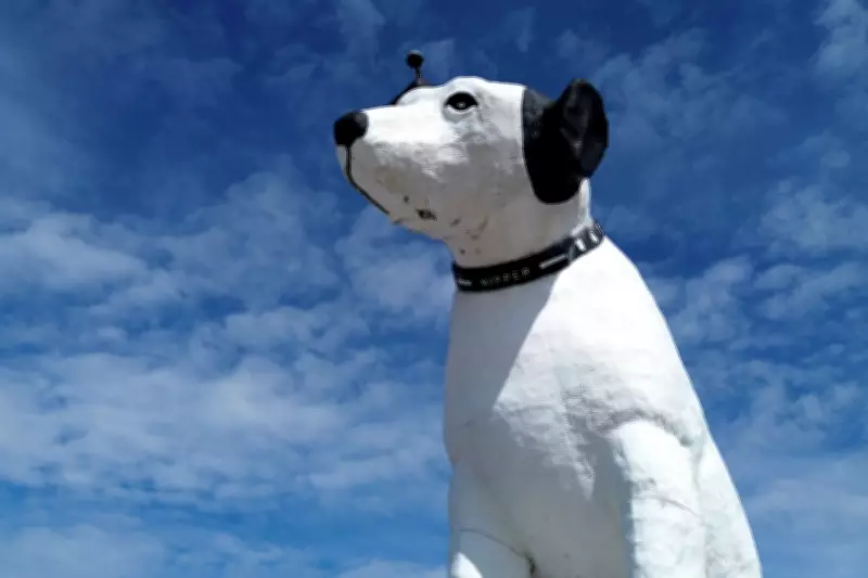 Beloved Nipper Dog Statue's Fate Uncertain as Albany Warehouse Declines